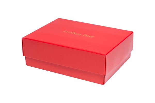 Geschenkbox für Weihnachten "Gießen" 5105FF15