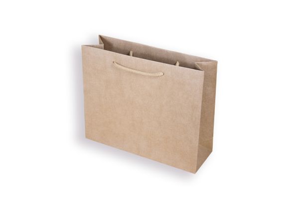 Papier-Tragetasche Naturserie