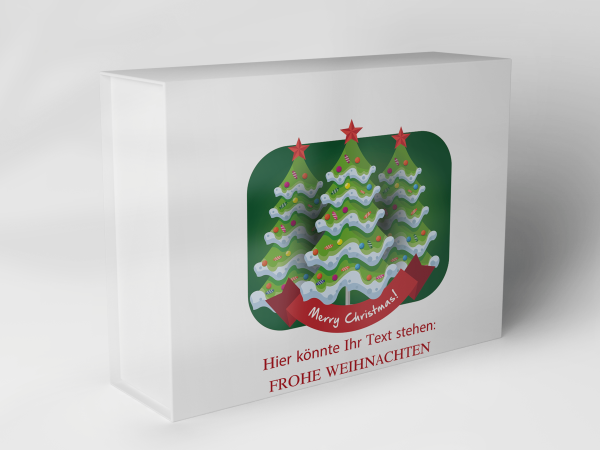 Geschenkbox "Weihnachtsbaum und Sterne" 1007_08_0028 